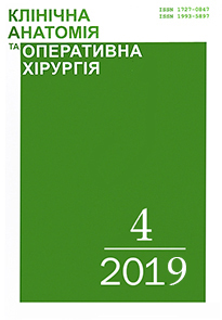 Struktura Limfoyidno Asocijovanogo Epiteliyu Pejyerovih Blyashok Tonkoyi Kishki Bilih Shuriv Klinichna Anatomiya Ta Operativna Hirurgiya